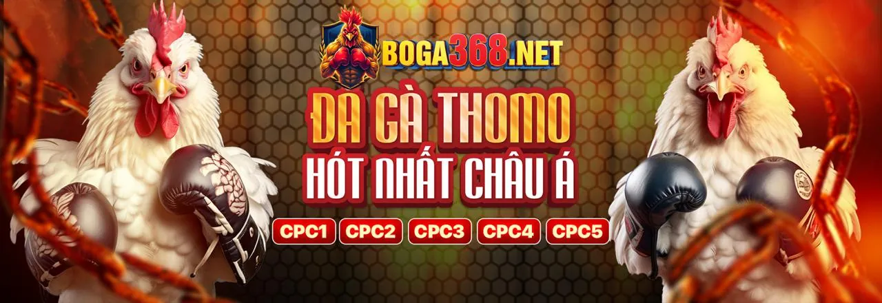 Sân vận động với ánh đèn rực rỡ tượng trưng cho cá cược thể thao sôi động tại vibet88